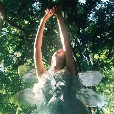 京城九爷的小玫瑰